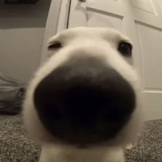 🧐