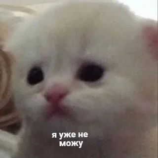 😵‍💫