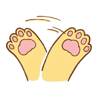 🐱