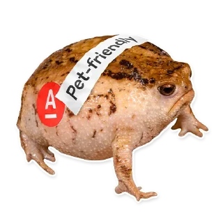 🐸