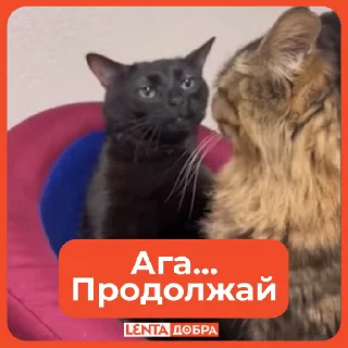 😑