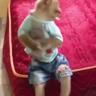 🌟