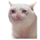 😭
