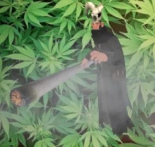 🌿