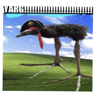 🐦