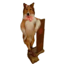 🚶‍♀️