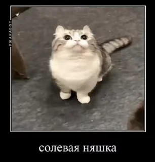 😳