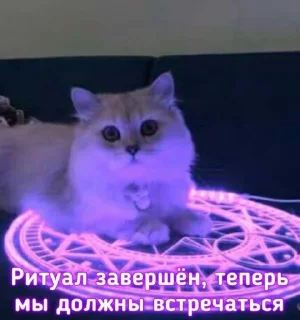 💜