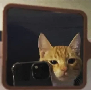 👁