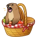 🐰