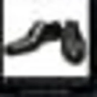 👞