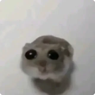 🥺