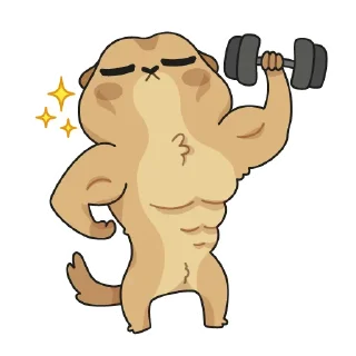 💪