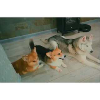 👍