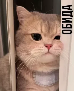😒