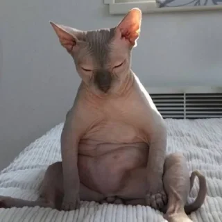 😑