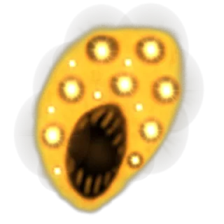 😨
