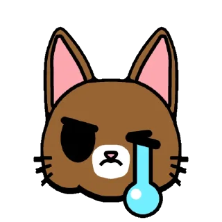 😿