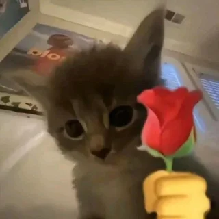 ❤