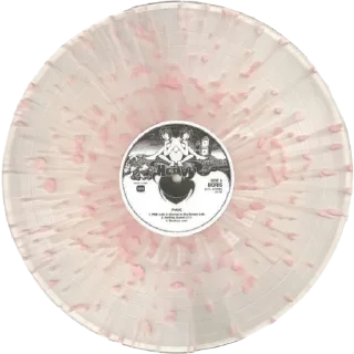💿