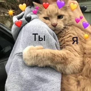 💜