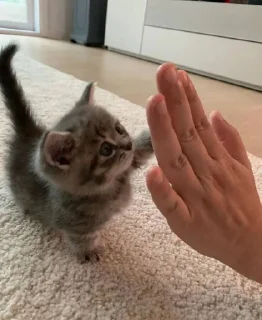 ❤️