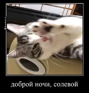 😜