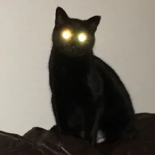 🤩