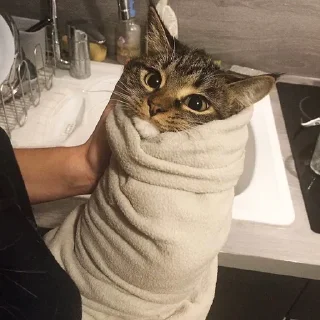 😑