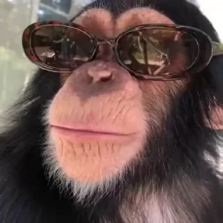 😘