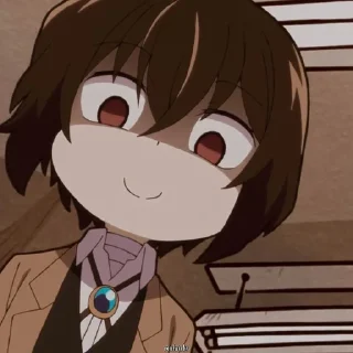 🌟
