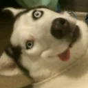 😛