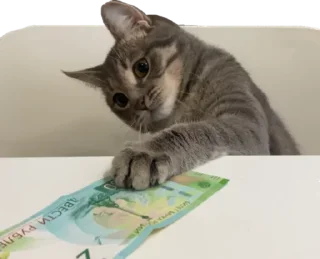 💰