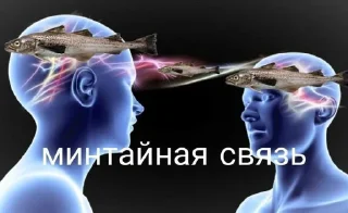 🐟