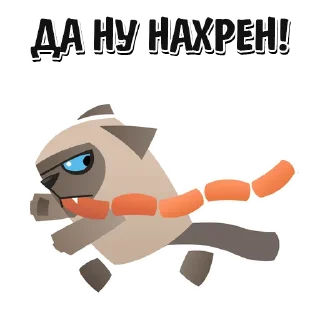 🐱