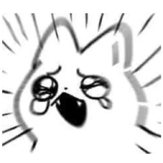 😿