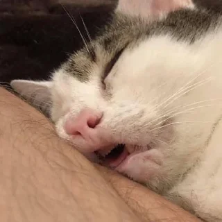 😴