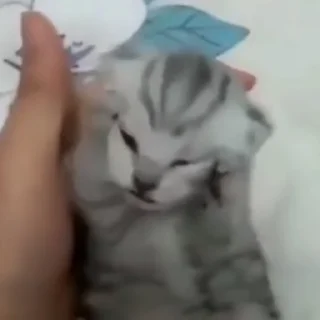 😭