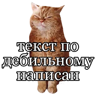 🫤