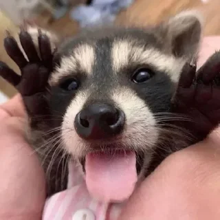 😝