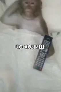 📞