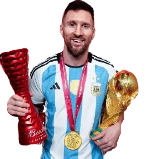 🇦🇷