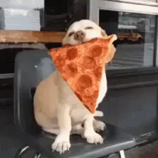 🍕