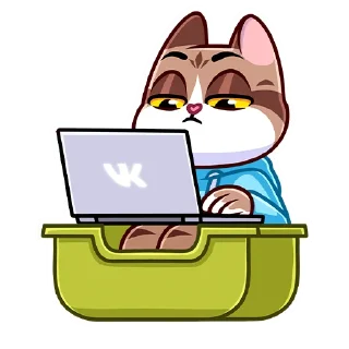 💻