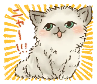 🐱