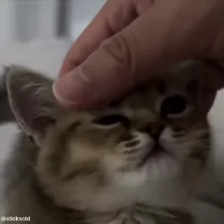 😍