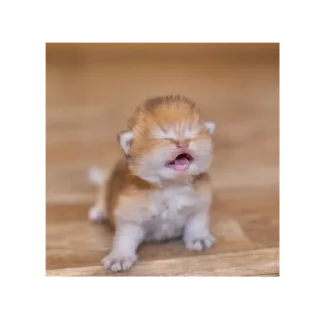 😭
