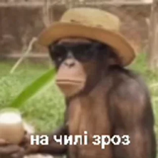 🍹