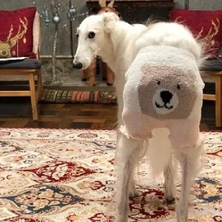 🙂