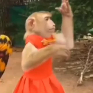 💃